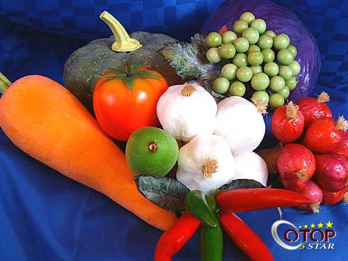 Artificial Vegetables and Fruits — 3