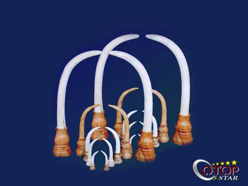 Marble-made Elephant Tusk Model