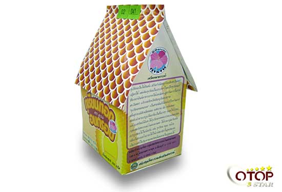 Durian Crisps