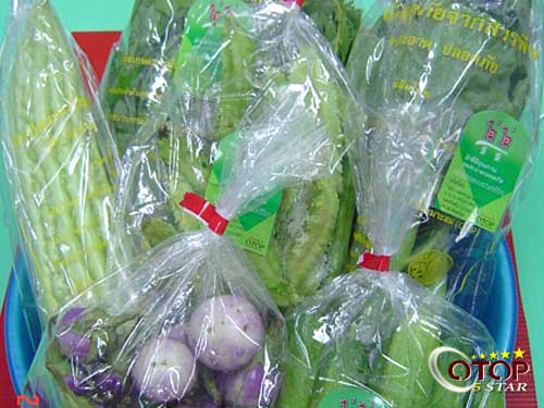 Chemical-Free Vegetables — 2