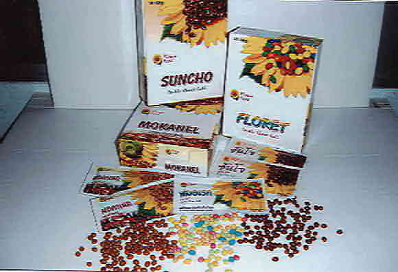 Sunflower Seed Snack